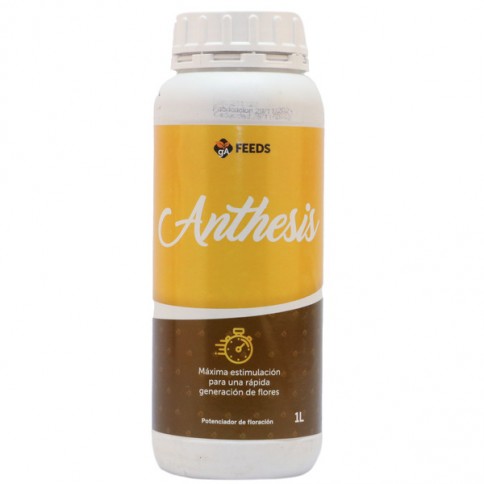 Anthesis