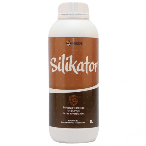 Silikator