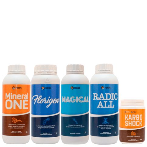 Pack Base Mineral Pro